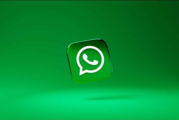 contatos whatsaap