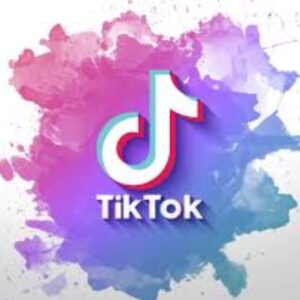 Seguidores TikTok
